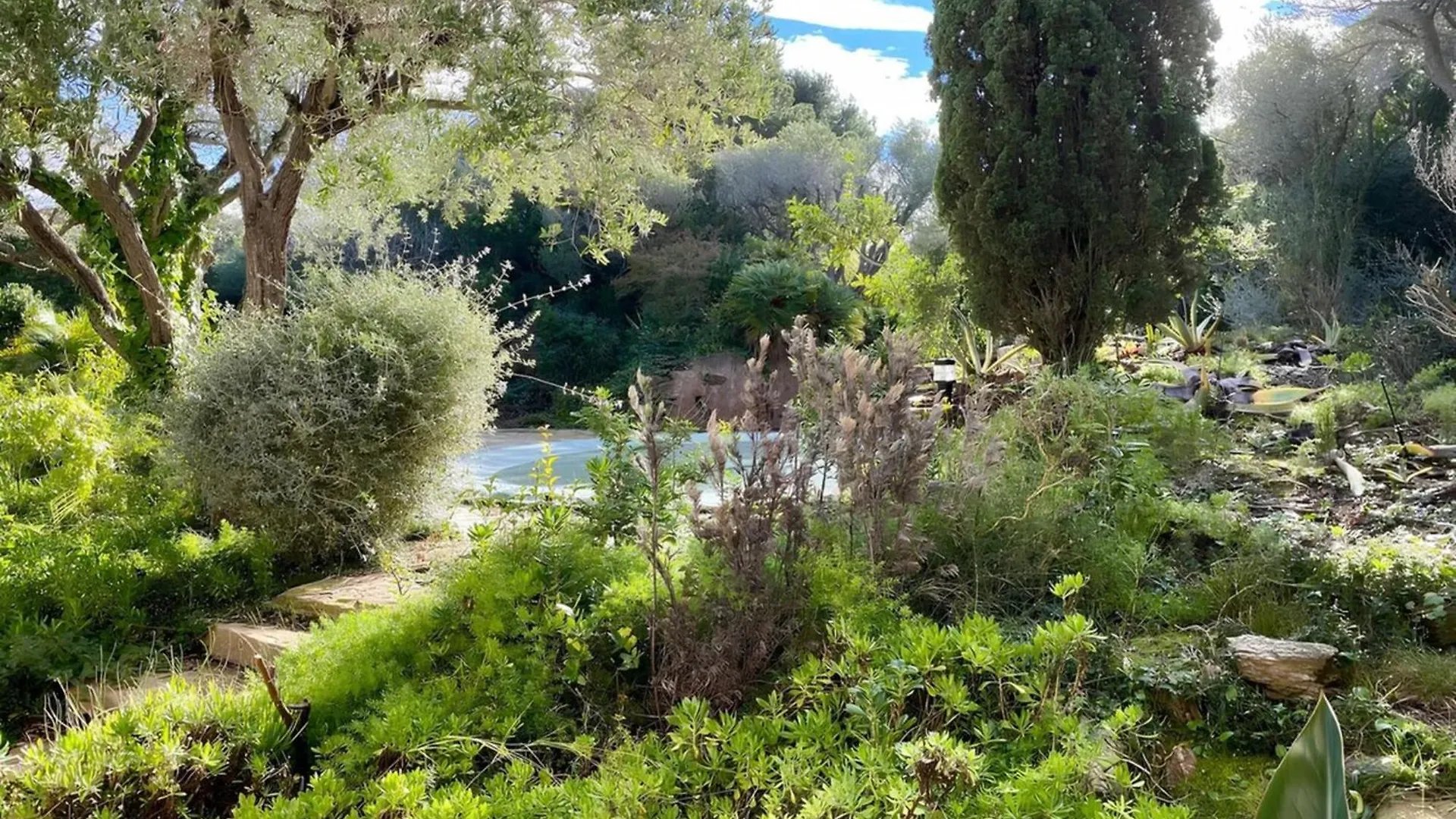 Villa Des Iles D'Or - 14Pers - Swimming Pool & Sea View Hyeres